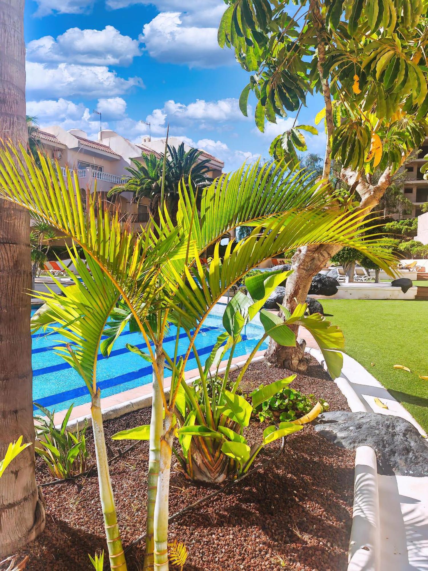 Casa Palmu Apartment - A Peaceful And Relaxing Oasis In Golf Del Sur, Tenerife Сан Мигель Экстерьер фото